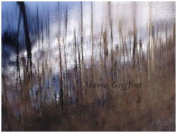 marie-griffon-hiver